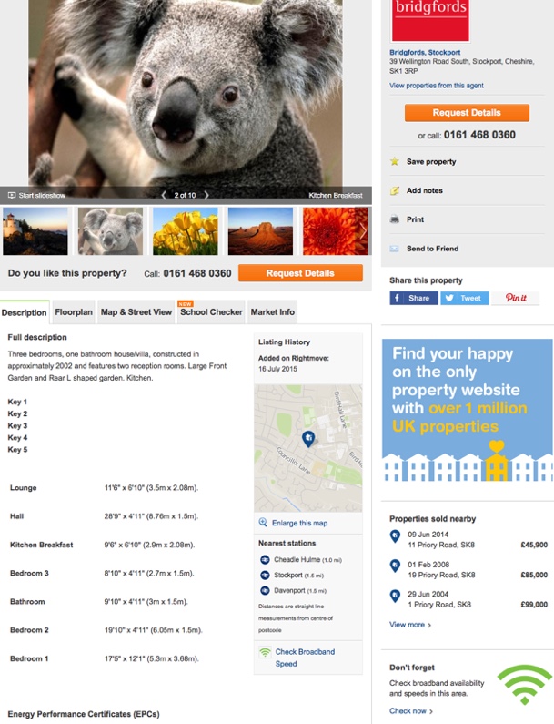 picture of the week 4