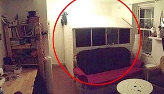 The 'room' advertised was a mattress inside this wooden structure in the corner of a communal living room
